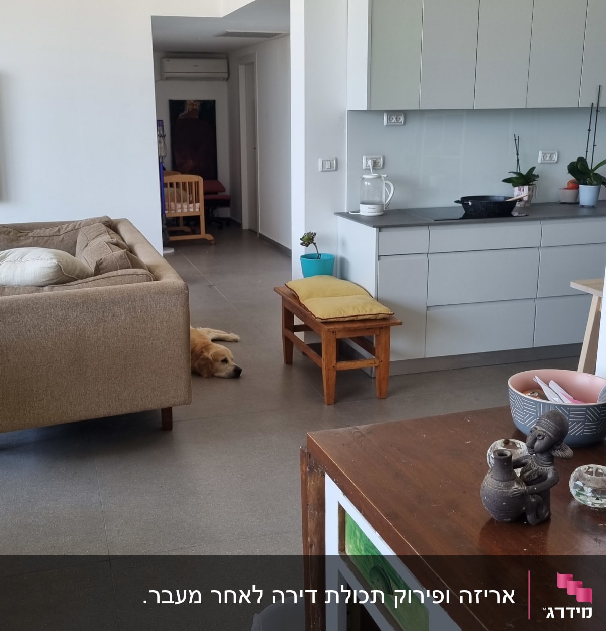 מטבח עם ארונות לבנים, צמח בעציץ, קערות על שולחן